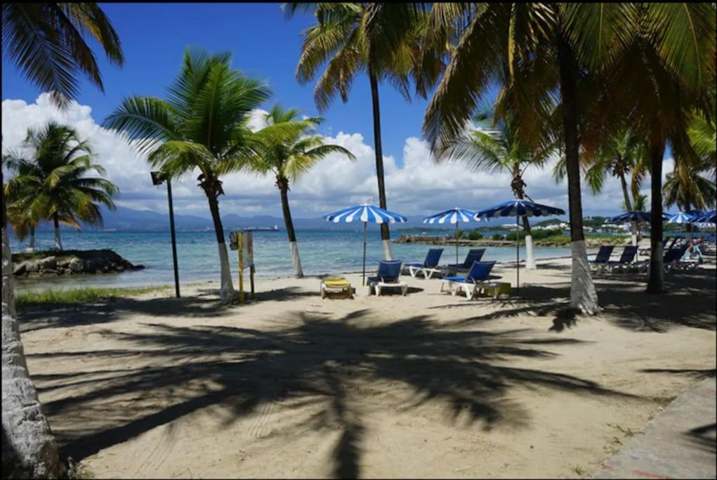 Grand Bleu-Superbe T2 Vue Mer & Acces Plage Le Gosier  Ngoại thất bức ảnh